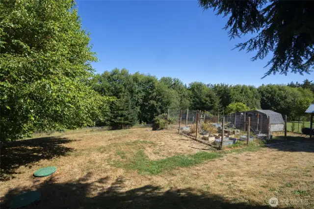 View of backyard looking North