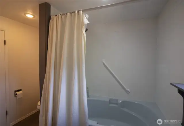 Soak tub with shower