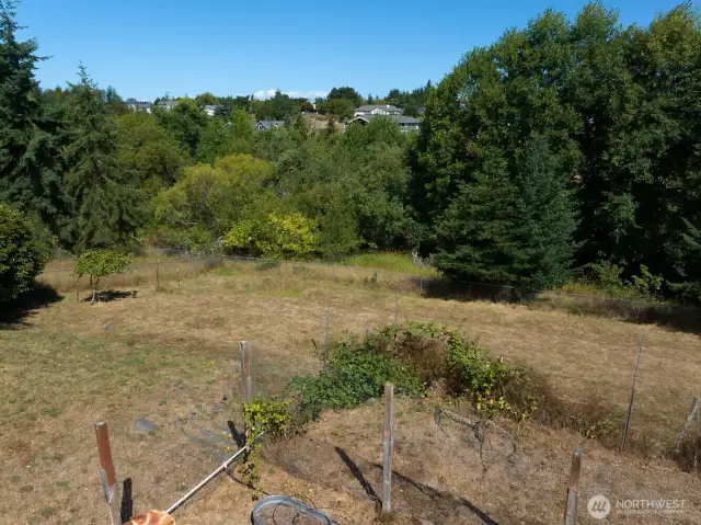 Mature landscape allows for privacy
