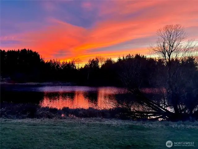 Seller "sunset" photo of pond behind house