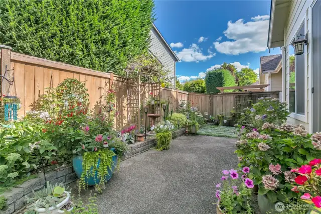 Colorful and easy care patio garden faces east and south.  Cool in the afternoons.