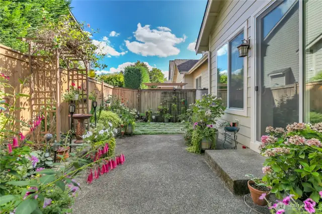 South facing aspect offers just the right amount of sunshine.