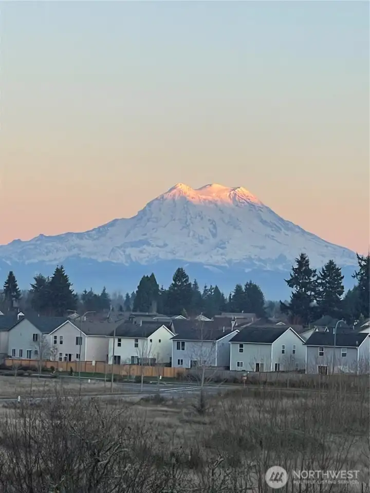 View from the backyard