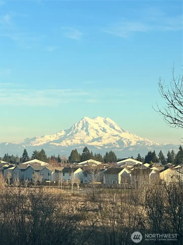 View of Mount Rainier from back deck (taken from seller's camera)