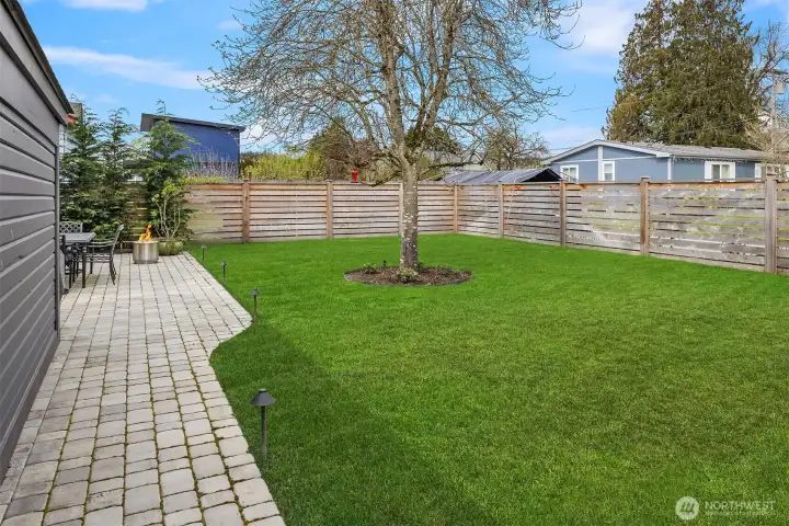 Large, flat, fenced backyard