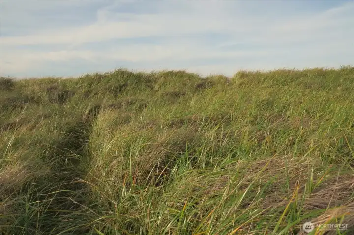 TAKE A STROLL UP THE GRASSY PATHWAY..