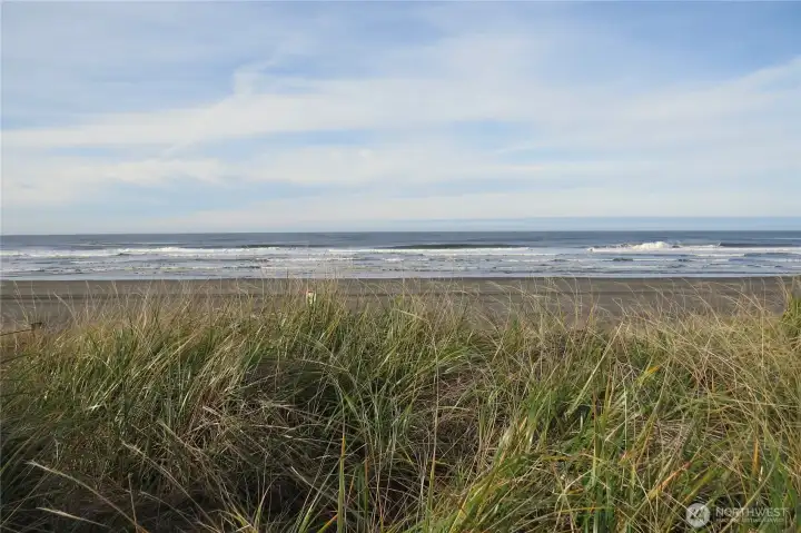 TO THE HILLSIDE AND THE OCEAN!