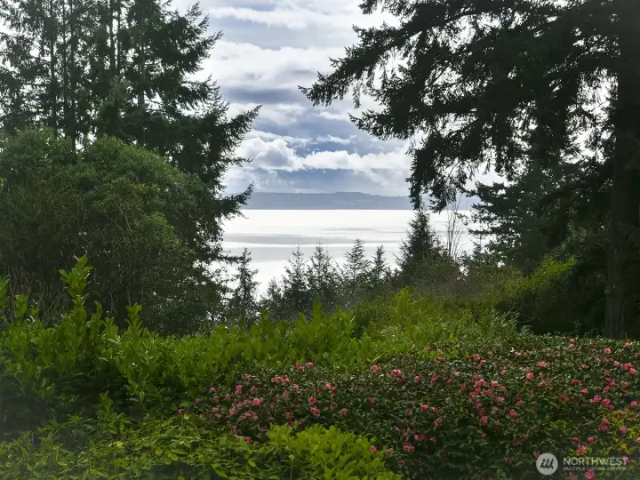 Puget Sound!  Watch the weather come through!  Stunning ~120 degree view.
