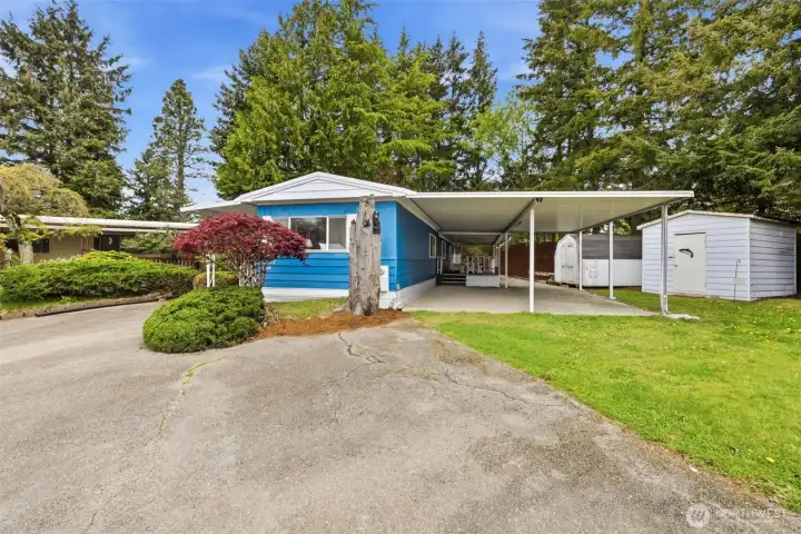 Large, end of cul-de-sac lot with two sheds and tons of parking