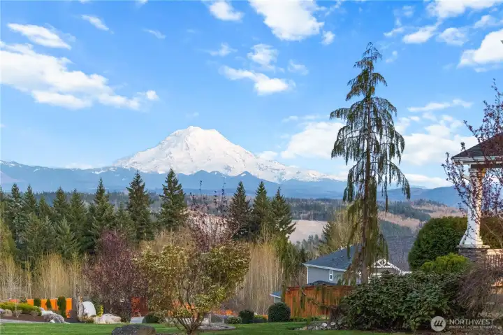 Mt Rainier in all its glory!