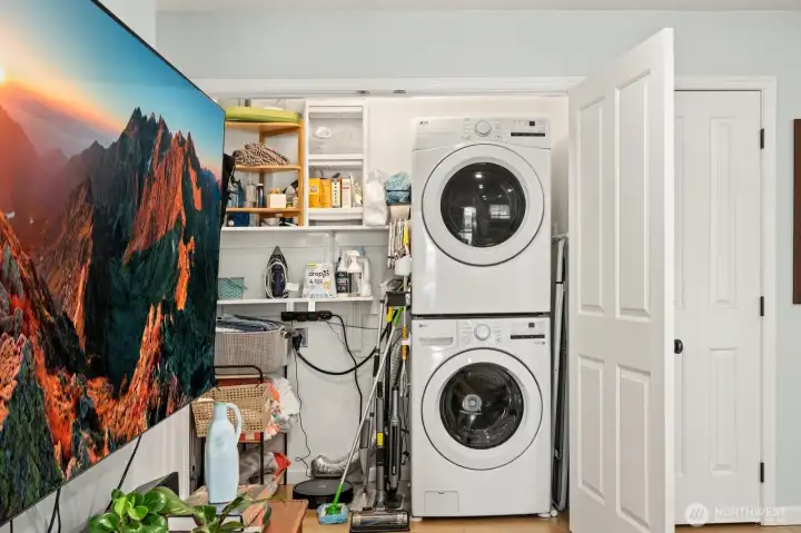 Laundry/task space in walk-in closet