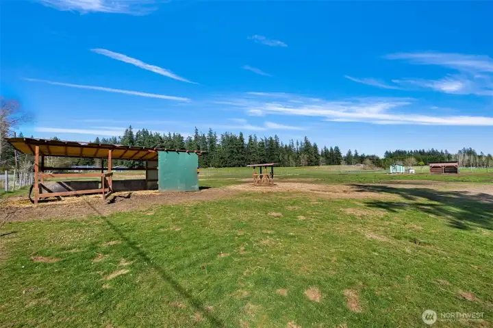Fully Fenced Pasture