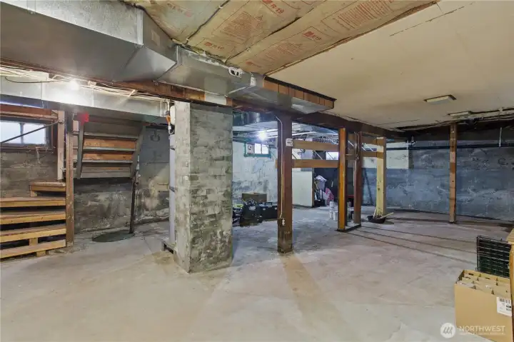 Full unfinished basement for storage or workshop?
