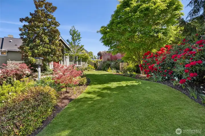 Lush front landscaped yard is a gardeners dream- Magnolias, Rhododendrons, lace leaf Maples, flowers & more!