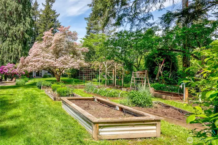 Garden space + outbuildings