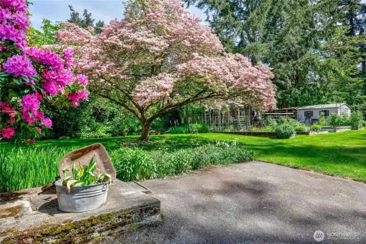 View from home to garden