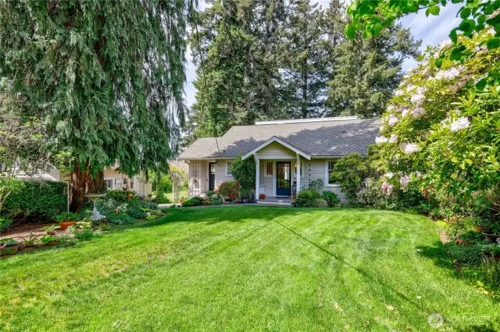 Front Yard