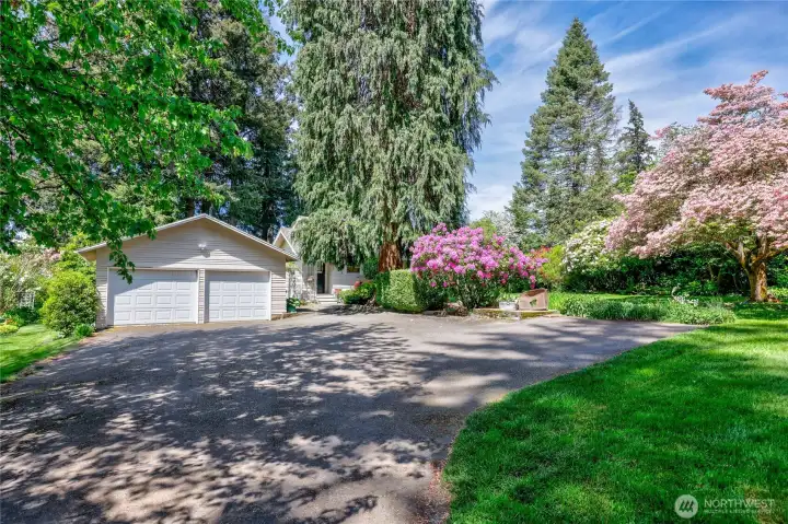 Drive w/2 car garage