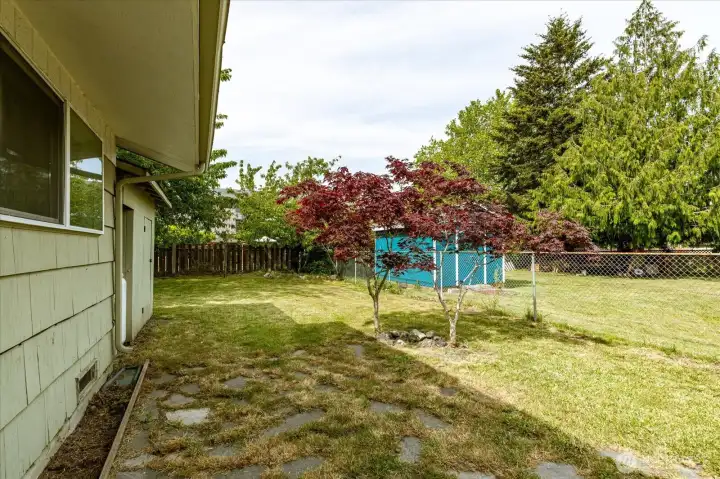 East side of backyard East side of backyard
