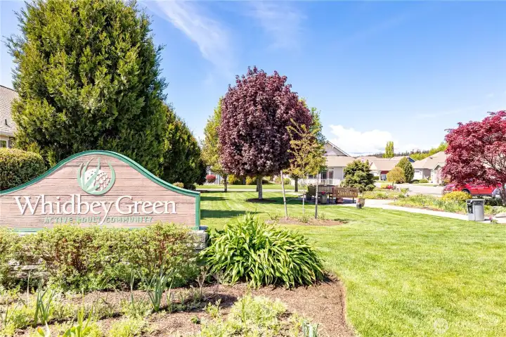Welcome to Whidbey Greens