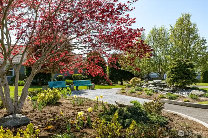 One of several lovely parks