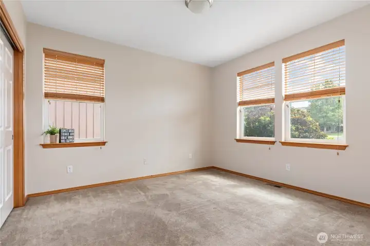 Great windows and light