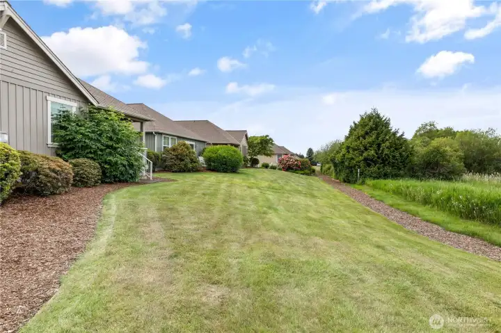 Nice green space behind the home