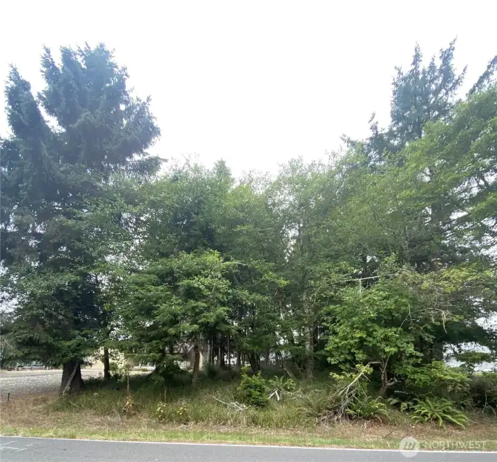 Duck Lake Dr street view