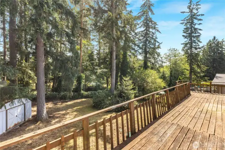 Left side of the wood deck overlooking the back yard and shed.
