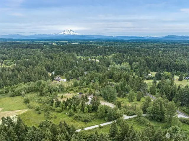 Beautiful Mt. Rainier in the distance. The property is the one towards the bottom of the photo.