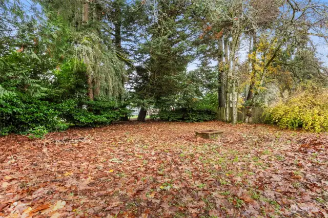 A border of mature trees provides nice privacy.