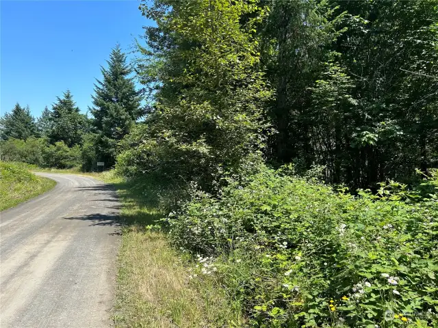 Upper portion of property off of Sunrise Road.