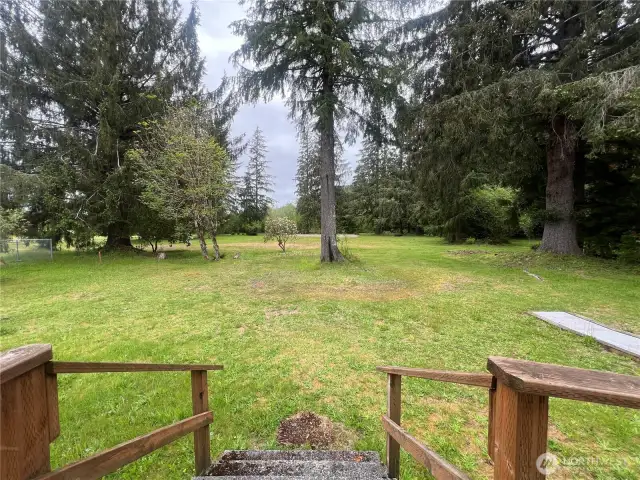 Spacious, wooded backyard with limitless potential