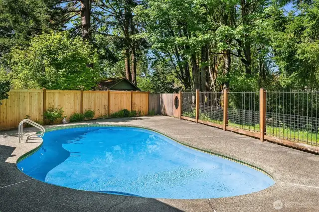 your summer oasis