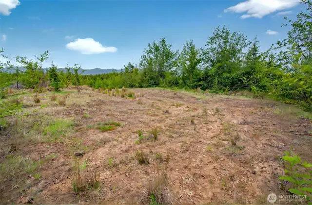 Potential homesite