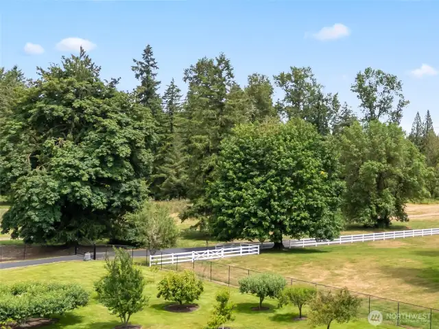 Orchard in the foreground paved entry an security gate  behind.