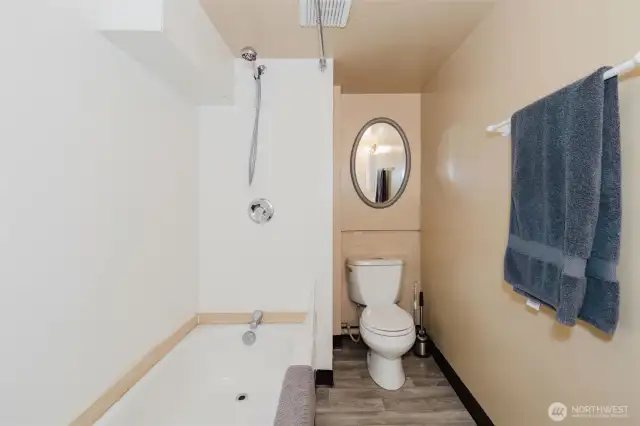 Downstairs bath
