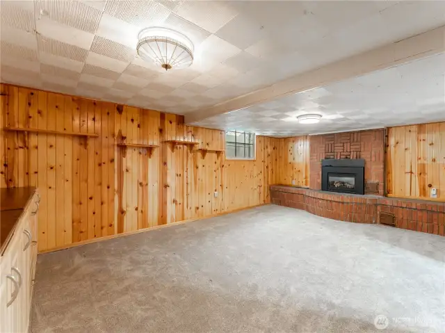 Lower Level Family Room