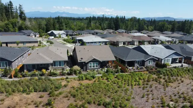 Trilogy of Tehaleh is "built out" with now more new construction sites available. Neighboring 55+ community does NOT offer the volume of trees, parks and natural spaces that Trilogy does. As us (or your agent) about more factual comparisons.