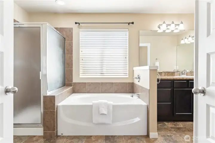 Primary suite 5 pc bath..separate tub and shower