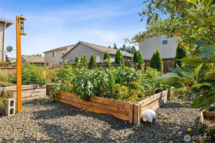 Great space to grow your garden