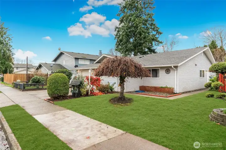 landscaped and seeded, greenery added for visualization