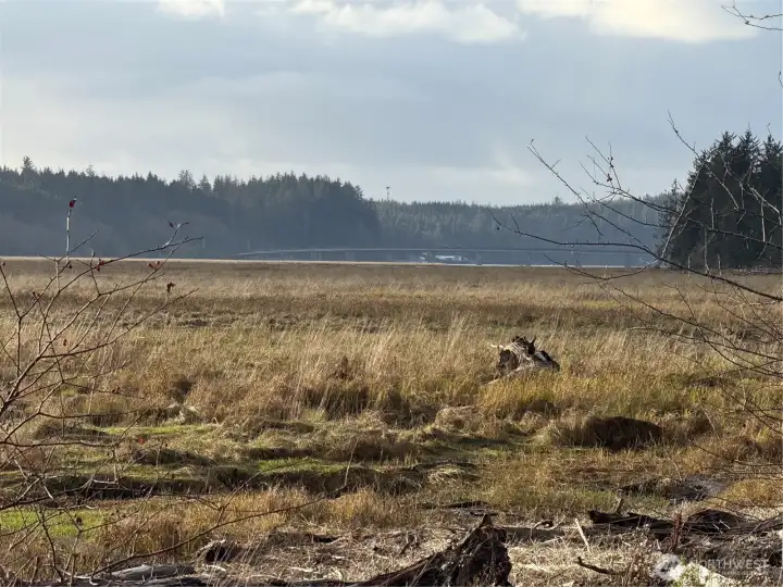 Naselle River Tideland ownership