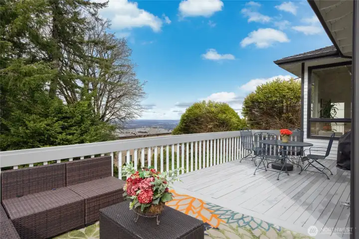 Huge Deck with BBQ Area