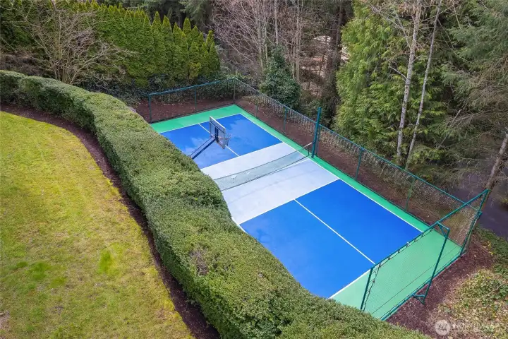 Pick ball/Basketball Sport Court