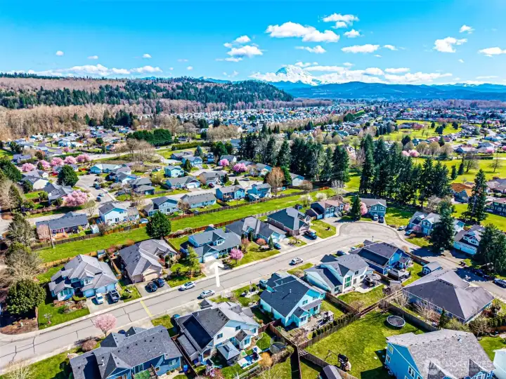 Fantastic neighborhood