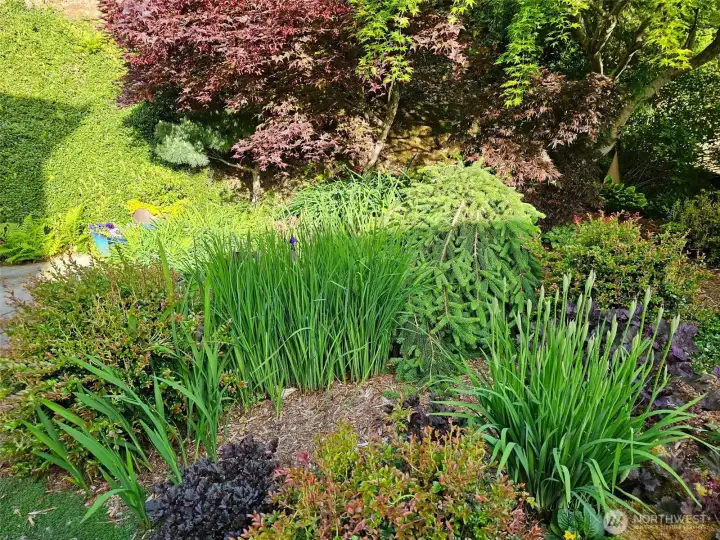 no shortage of mature landscape
