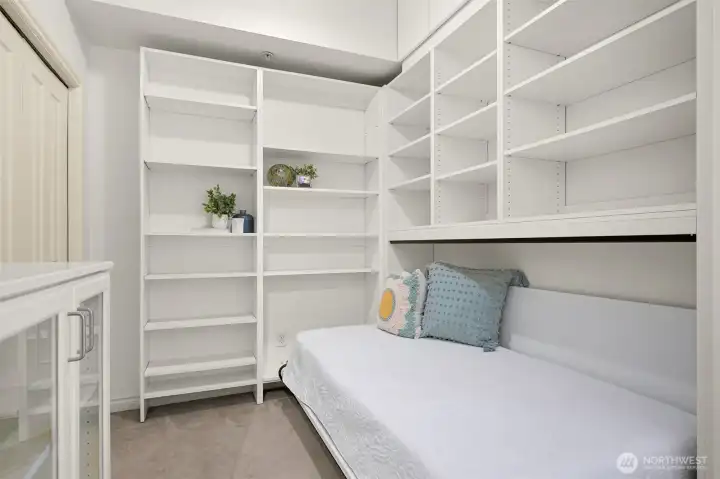 Lots of storage and a murphy bed