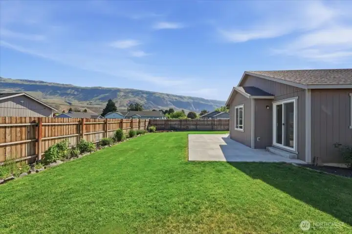 Back yard