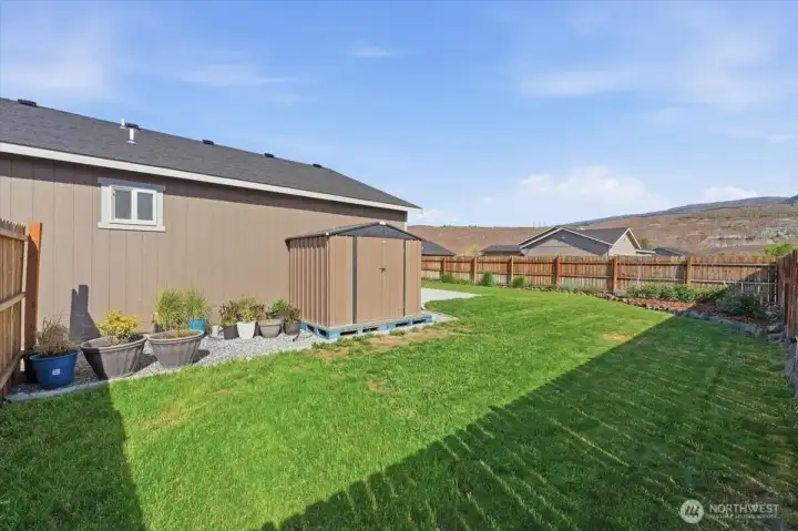 Storage shed and side yard